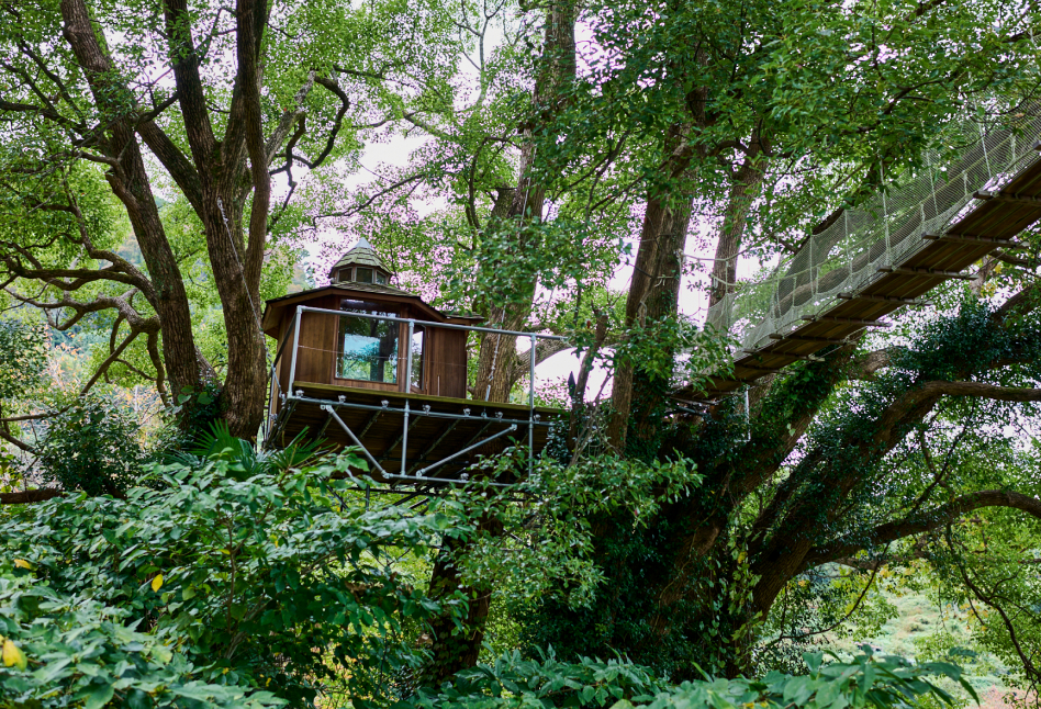 Tree House