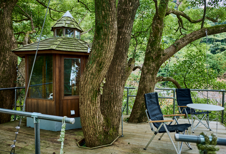 Tree House