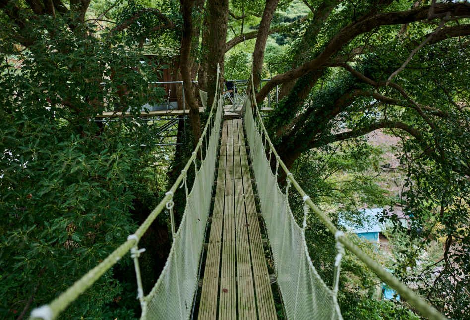 Tree House
