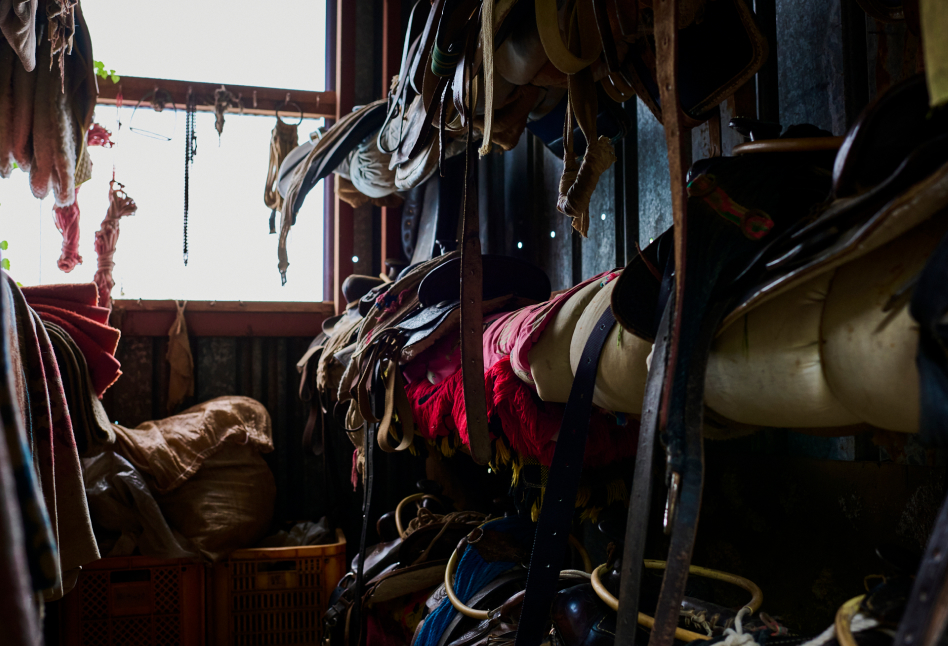 Stable