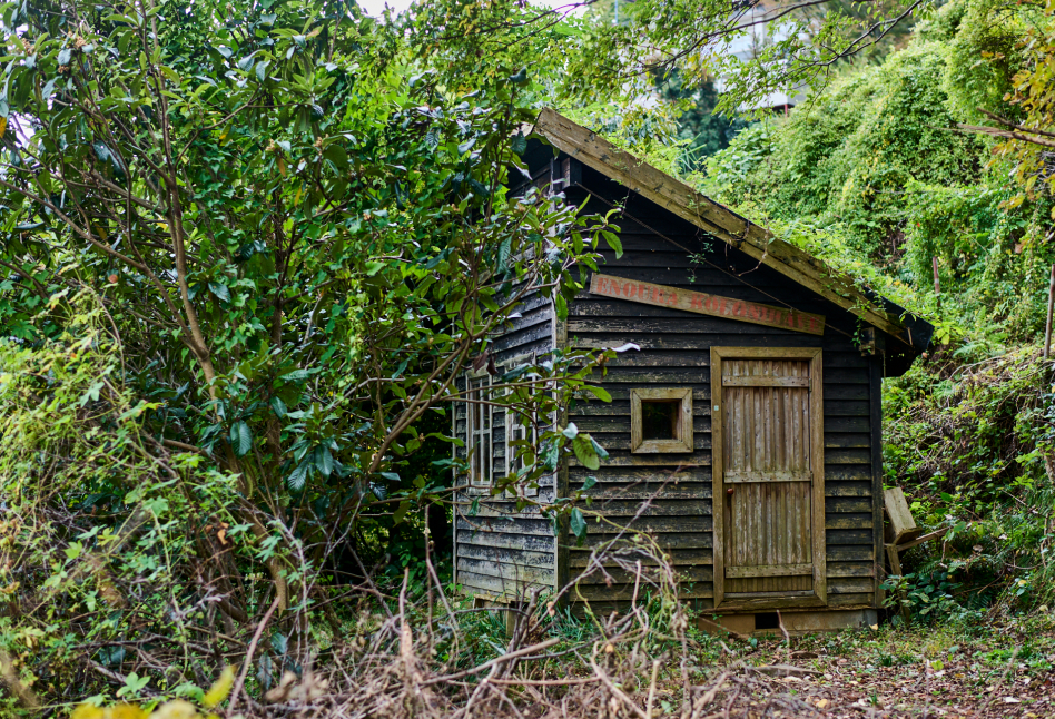 Tiny House