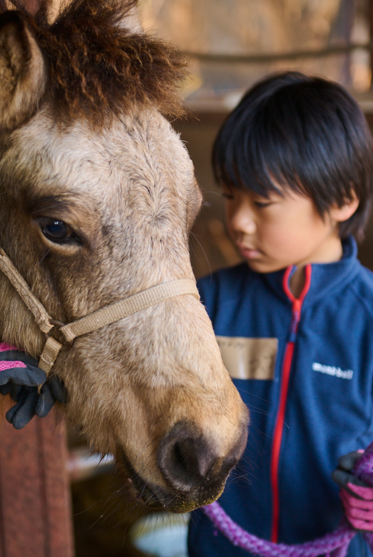 SADDLE BACK Ranch 馬に触れて、乗って心を通わせる