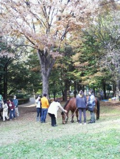 乗馬会風景