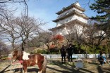 ふれあい動物園